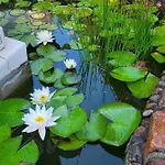 Florena Garden Affittacamere 3*