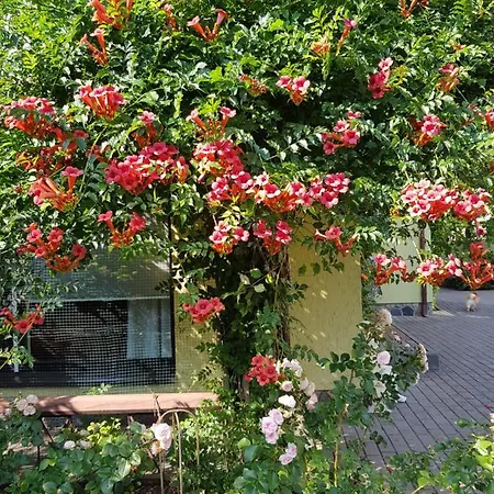 Florena Garden Palanga
