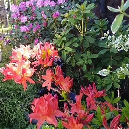 Florena Garden