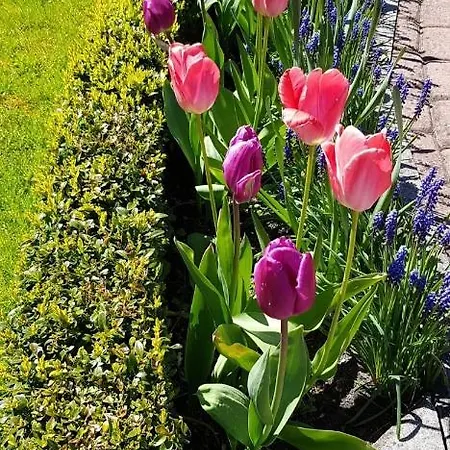 Florena Garden 3*