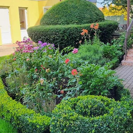 Гостевой дом Florena Garden