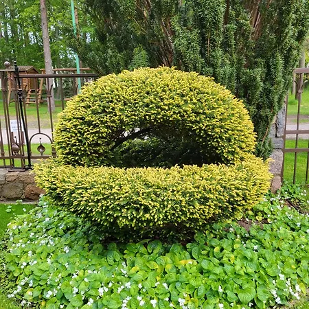 Florena Garden Svečių namai Palanga