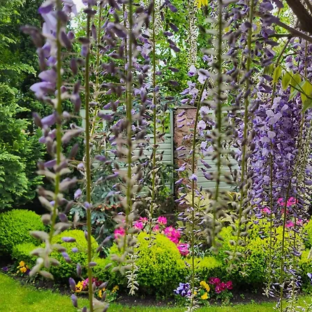 Гостевой дом Florena Garden Паланга
