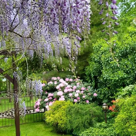 Florena Garden