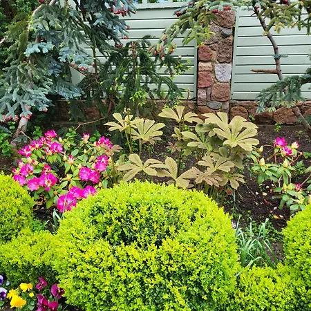 Florena Garden 3* Паланга