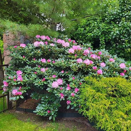Florena Garden 3*