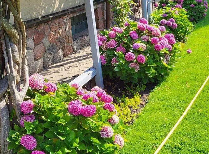 Гостевой дом Florena Garden Паланга