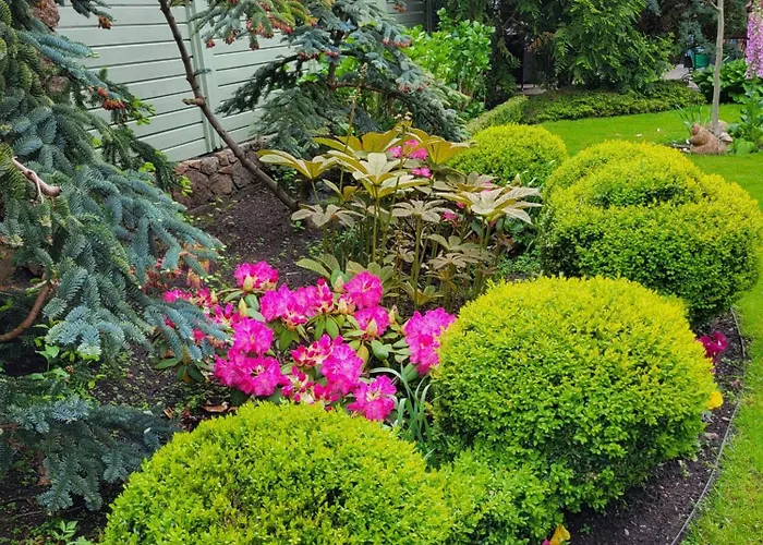 Гостевой дом Florena Garden