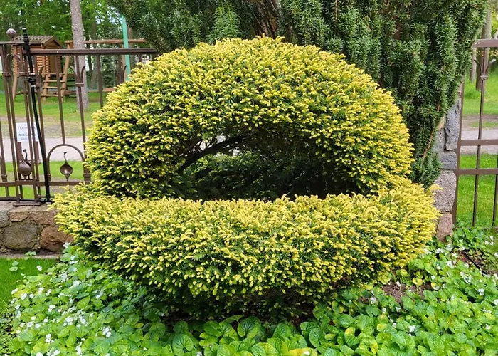 Florena Garden Гостевой дом Паланга