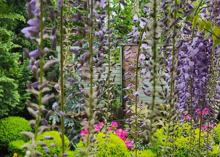 Гостевой дом Florena Garden Паланга