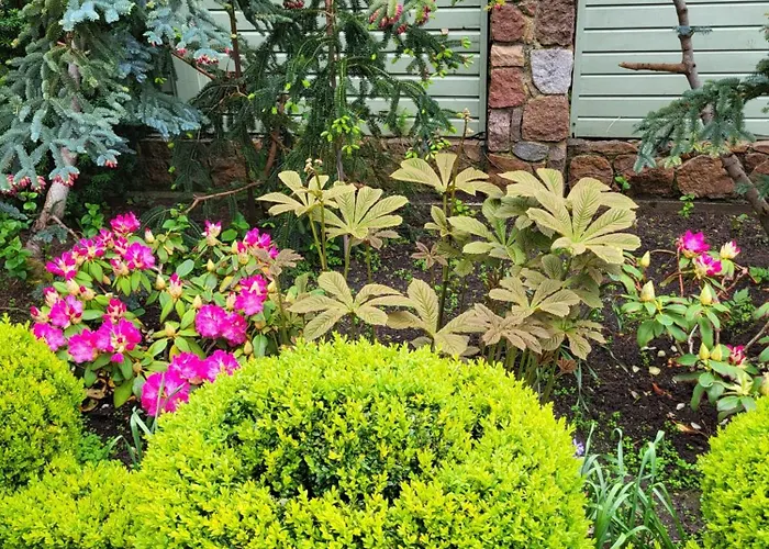 Florena Garden 3* Паланга